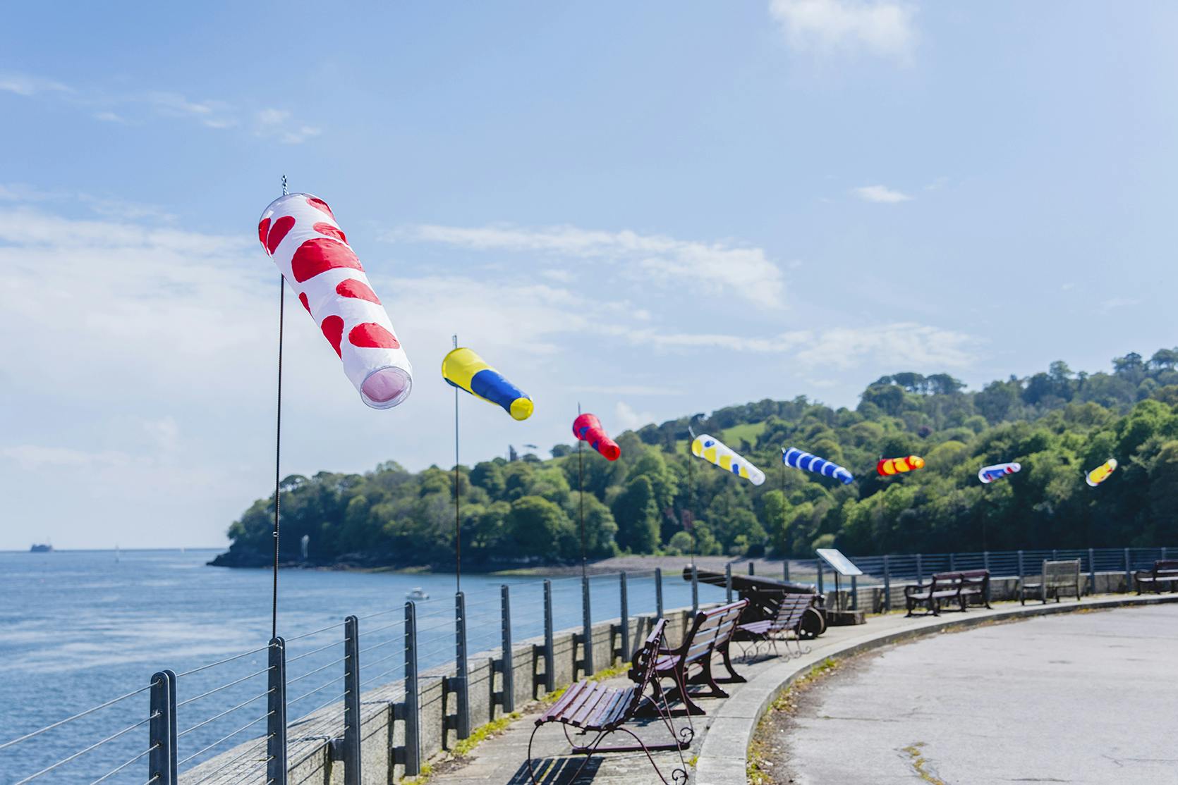 Stella James Richards, Mt Edgcumbe, 2019